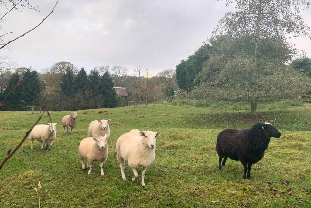 Stunning Secluded Peak District Luxurious Barn Βίλα Leek Εξωτερικό φωτογραφία